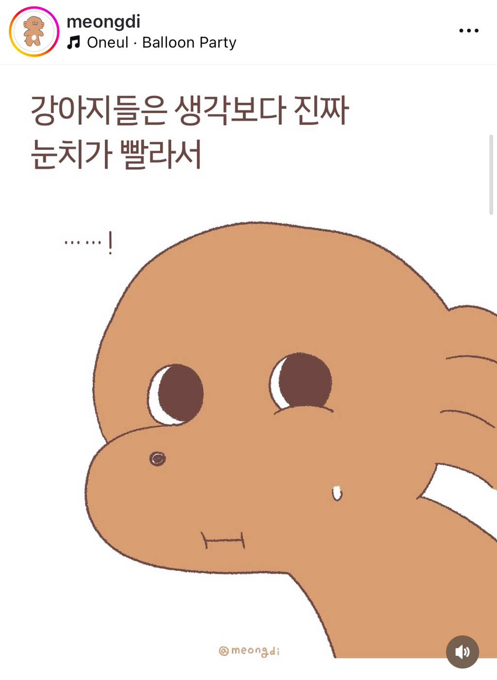 강아지들은 생각보다 진짜 눈치가 빠르다 | 인스티즈