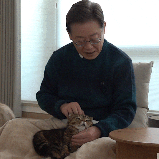 이재명이 생각하는 동물복지정책 | 인스티즈