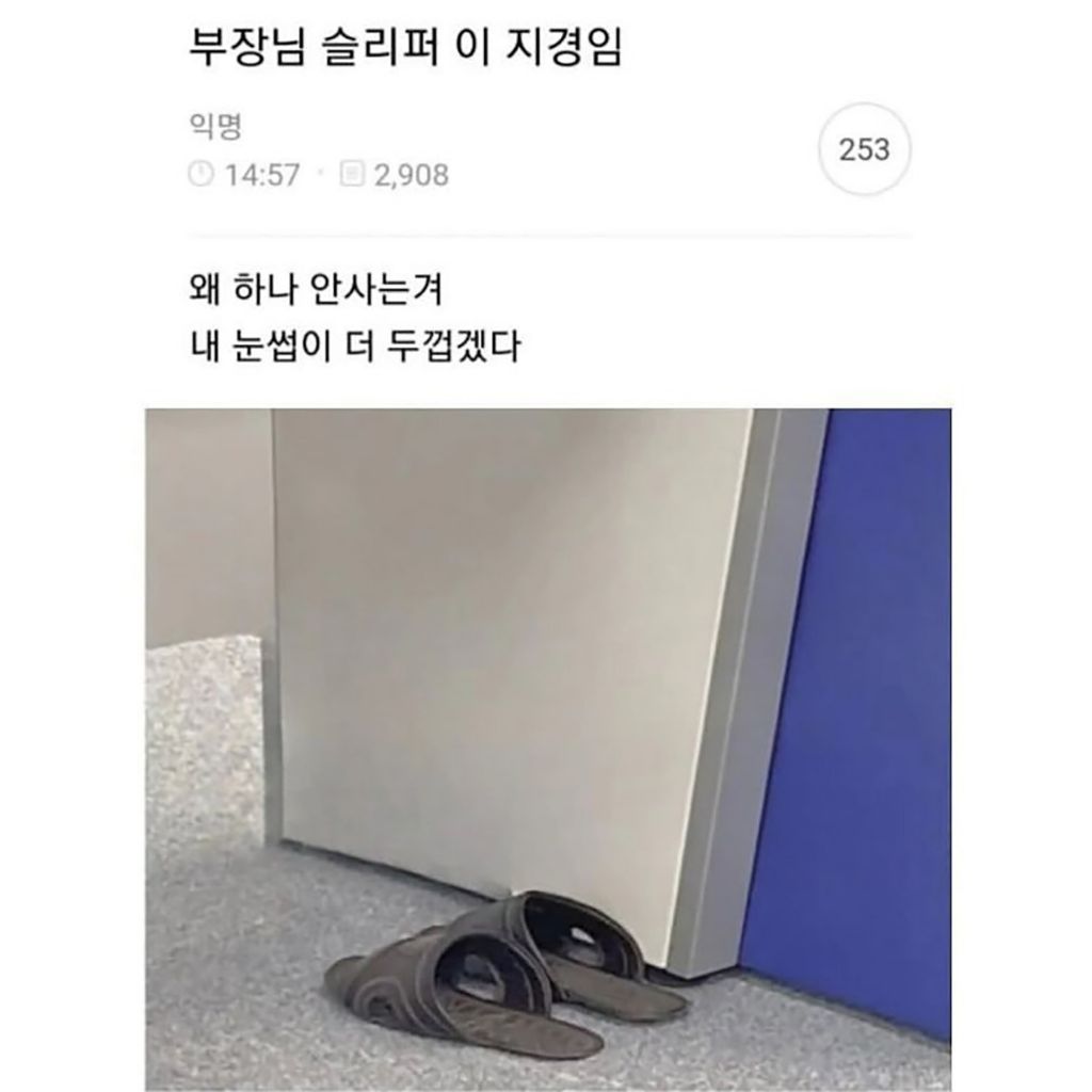 부장님 슬리퍼 이 지경임 | 인스티즈