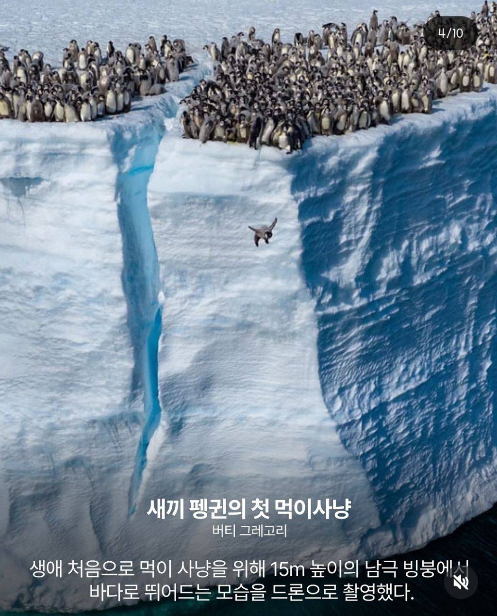 2024 네이처가 선정한 올해의 과학사진 | 인스티즈