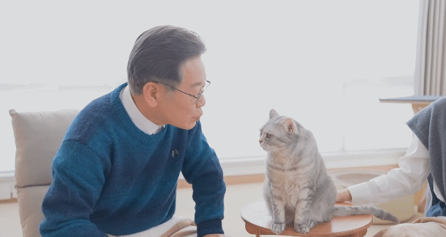 이재명이 생각하는 동물복지정책 | 인스티즈