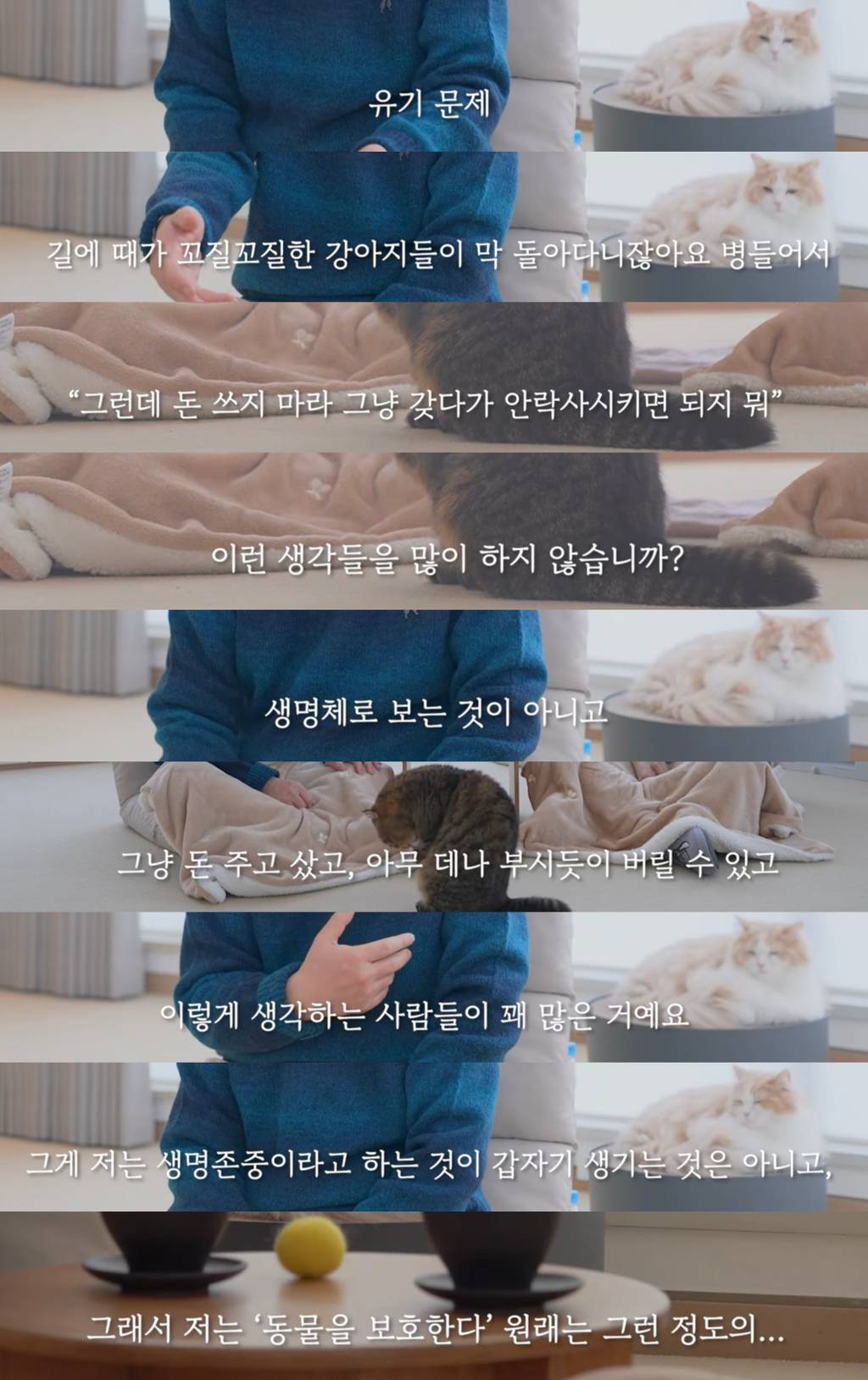 이재명이 생각하는 동물복지정책 | 인스티즈