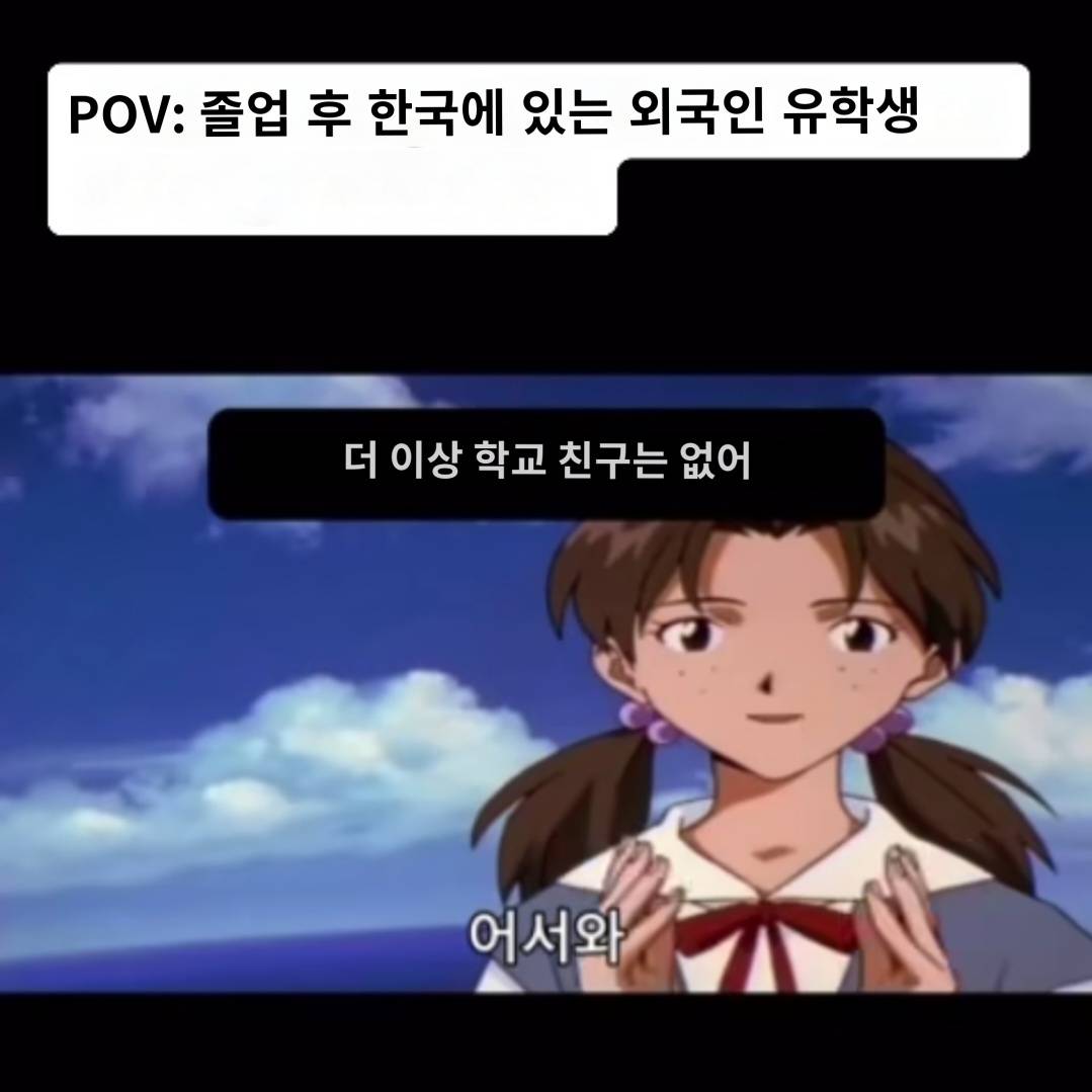 대학교 졸업 후 한국에 있는 외국인 유학생 밈 | 인스티즈