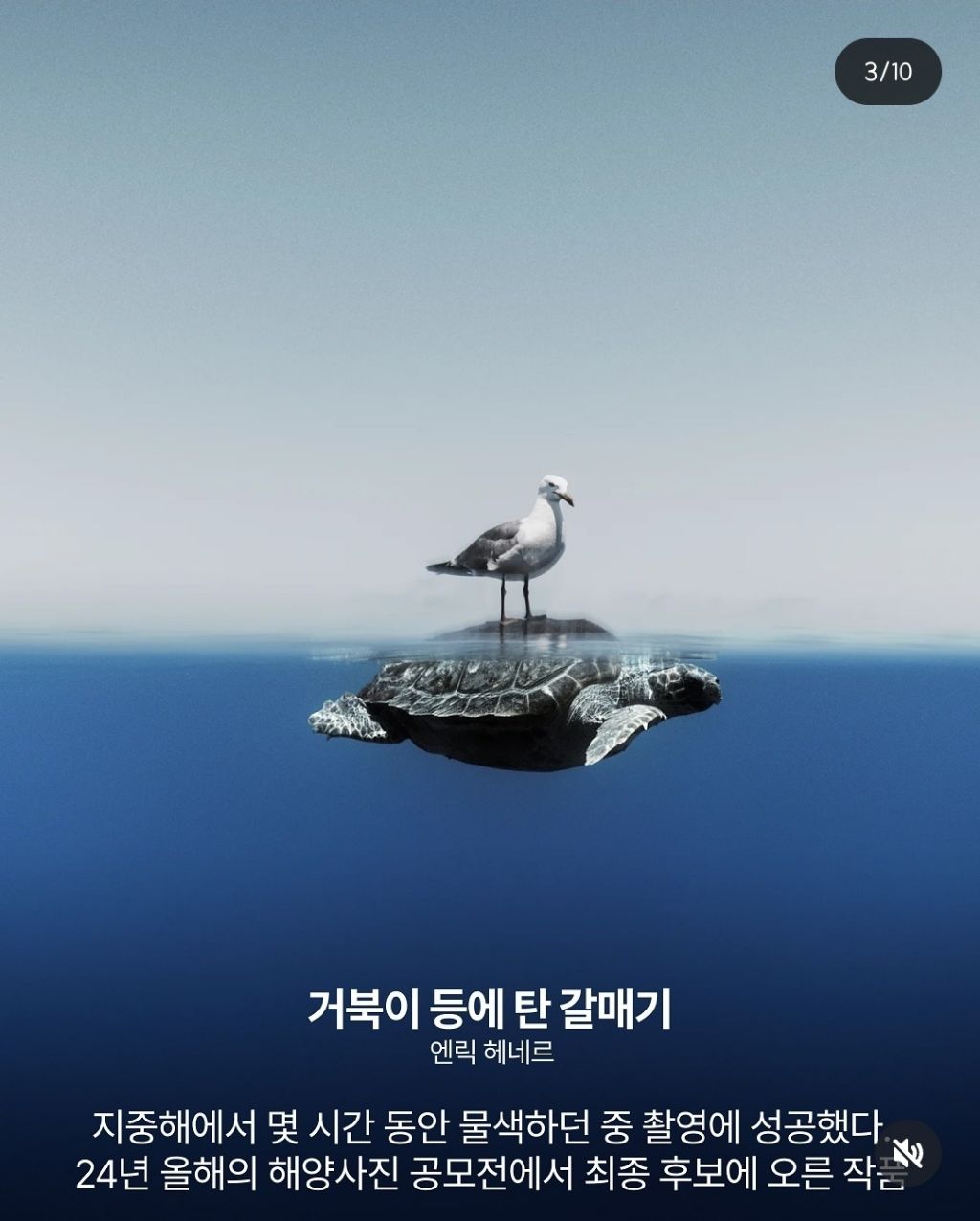 2024 네이처가 선정한 올해의 과학사진 | 인스티즈