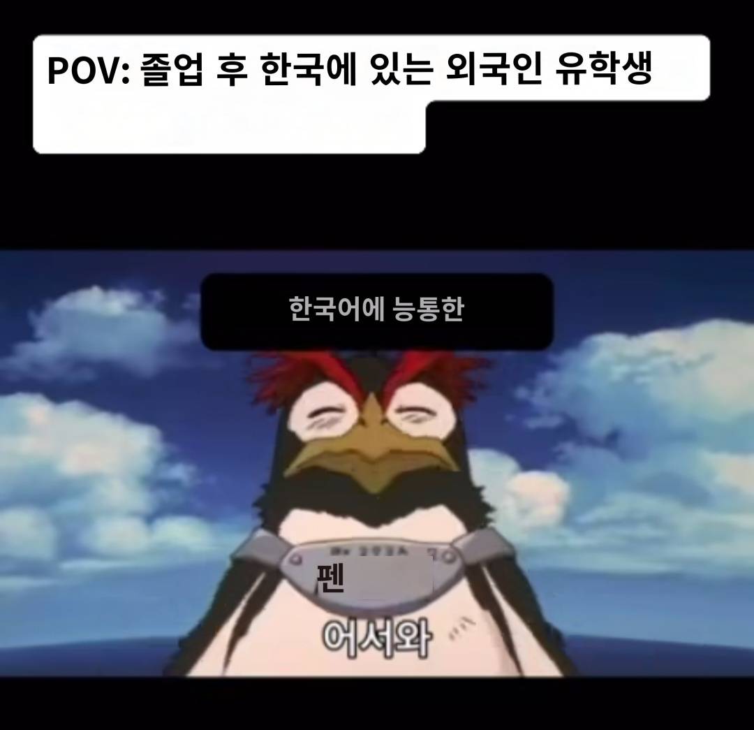 대학교 졸업 후 한국에 있는 외국인 유학생 밈 | 인스티즈