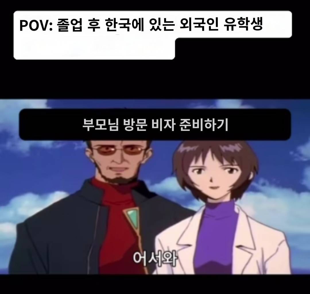대학교 졸업 후 한국에 있는 외국인 유학생 밈 | 인스티즈