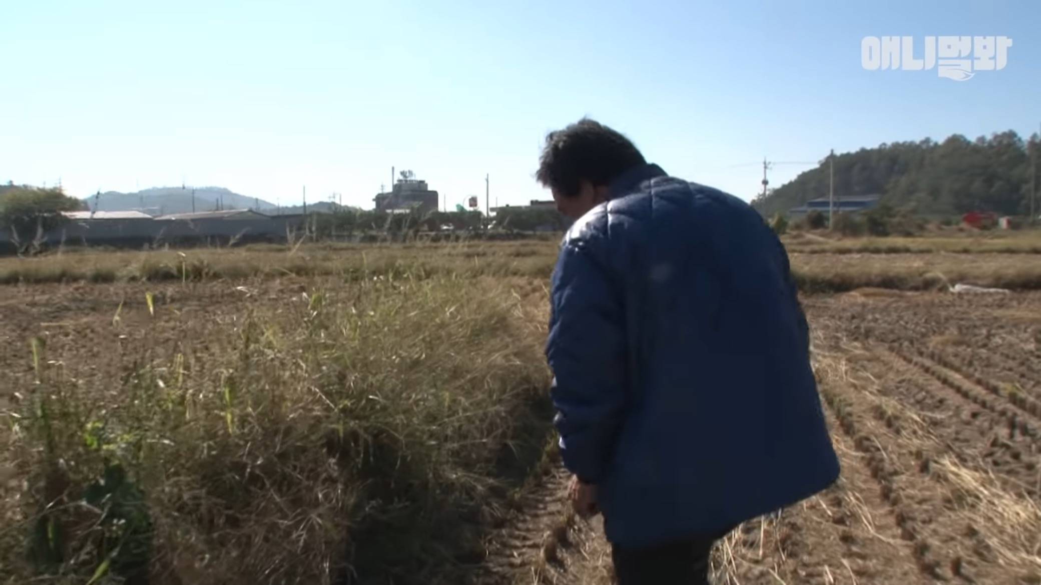 붕어빵으로 자식 키운 댕댕이...jpg | 인스티즈
