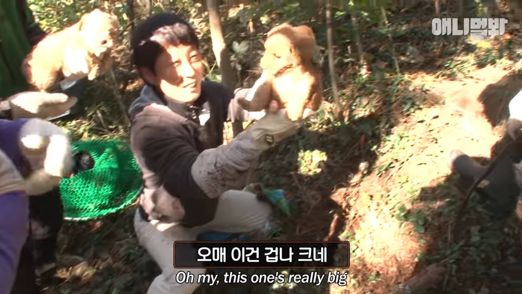 붕어빵으로 자식 키운 댕댕이...jpg | 인스티즈