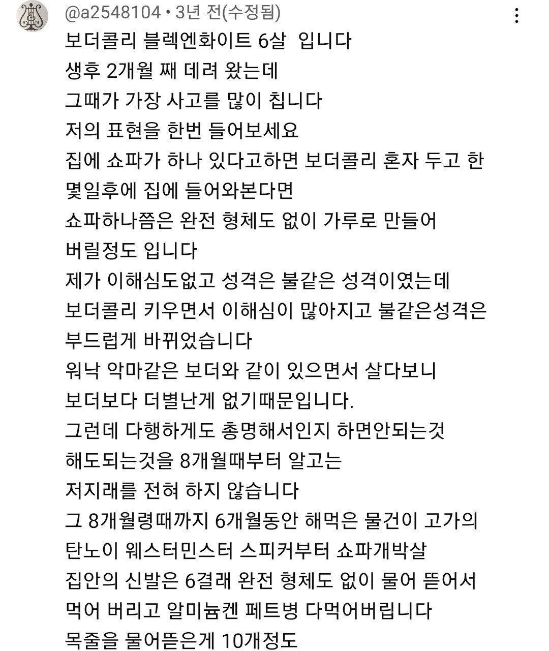 평화를 유지 못한다면 집이 개박살낸다는 강아지 | 인스티즈