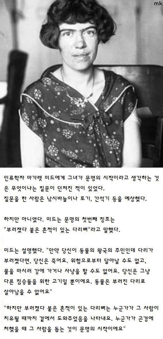 문명의 시작 | 인스티즈