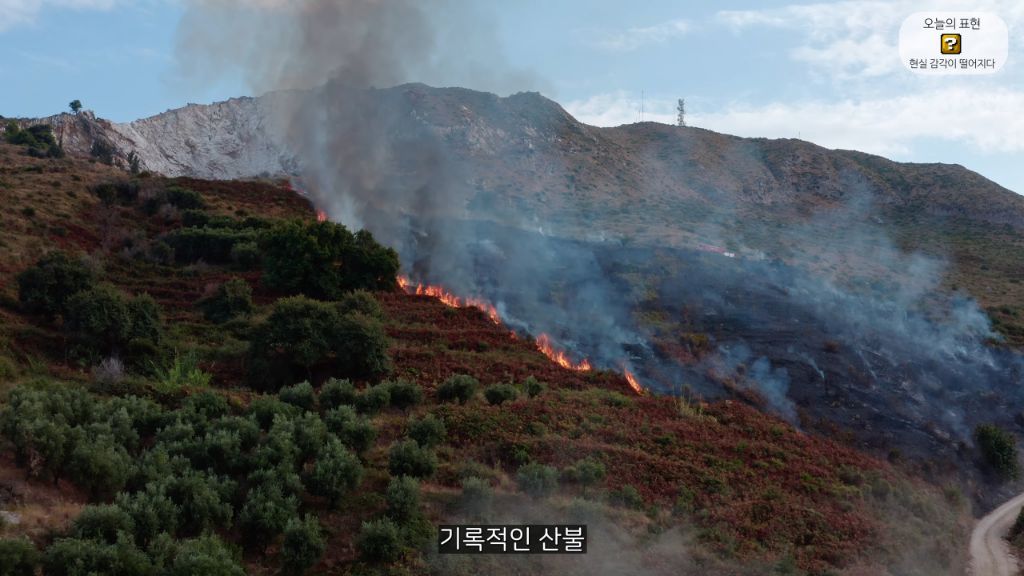 지구 온난화로 인해 미쳐버린 올리버쌤 (안미챴음) | 인스티즈