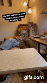 아빠랑 손잡고 TV 보는 고영이.gif | 인스티즈
