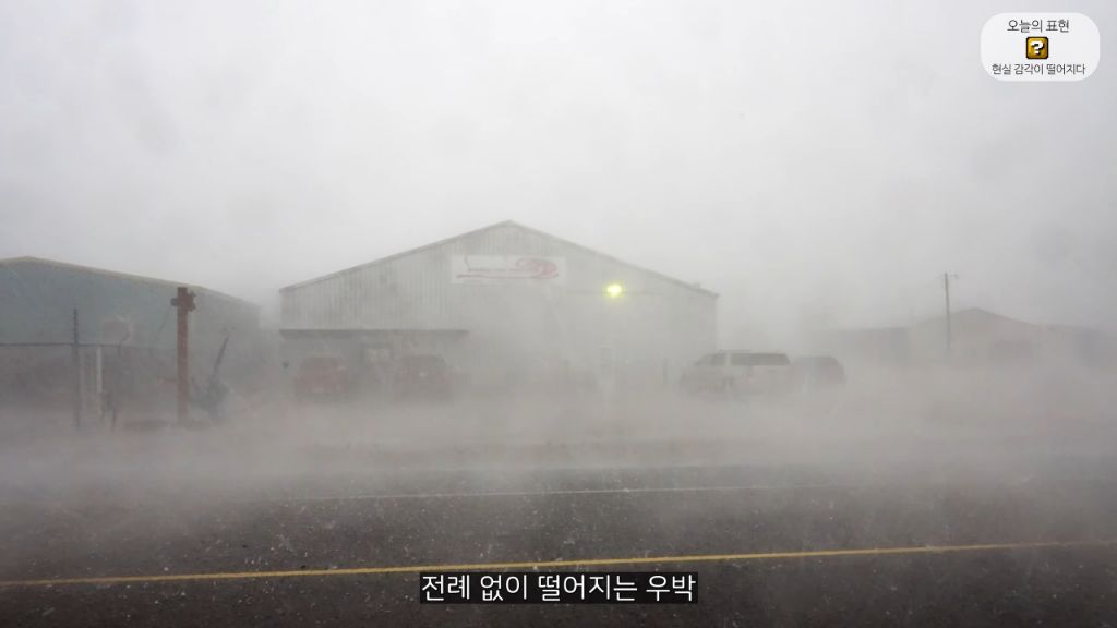 지구 온난화로 인해 미쳐버린 올리버쌤 (안미챴음) | 인스티즈