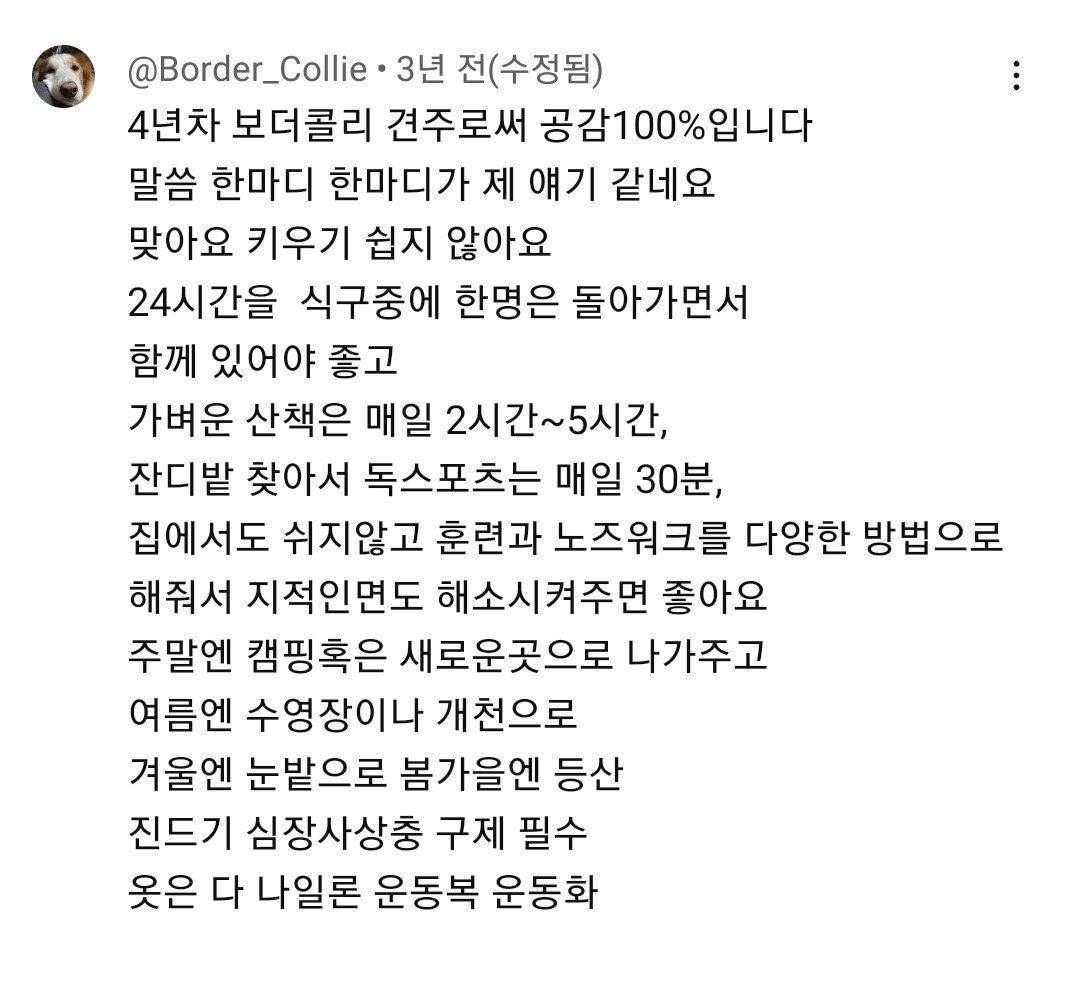 평화를 유지 못한다면 집이 개박살낸다는 강아지 | 인스티즈