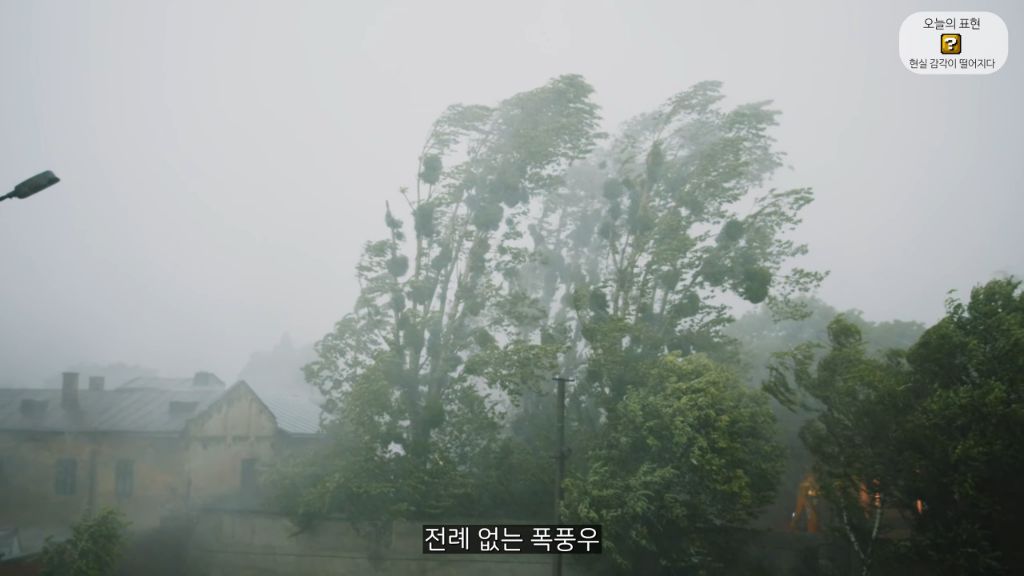 지구 온난화로 인해 미쳐버린 올리버쌤 (안미챴음) | 인스티즈