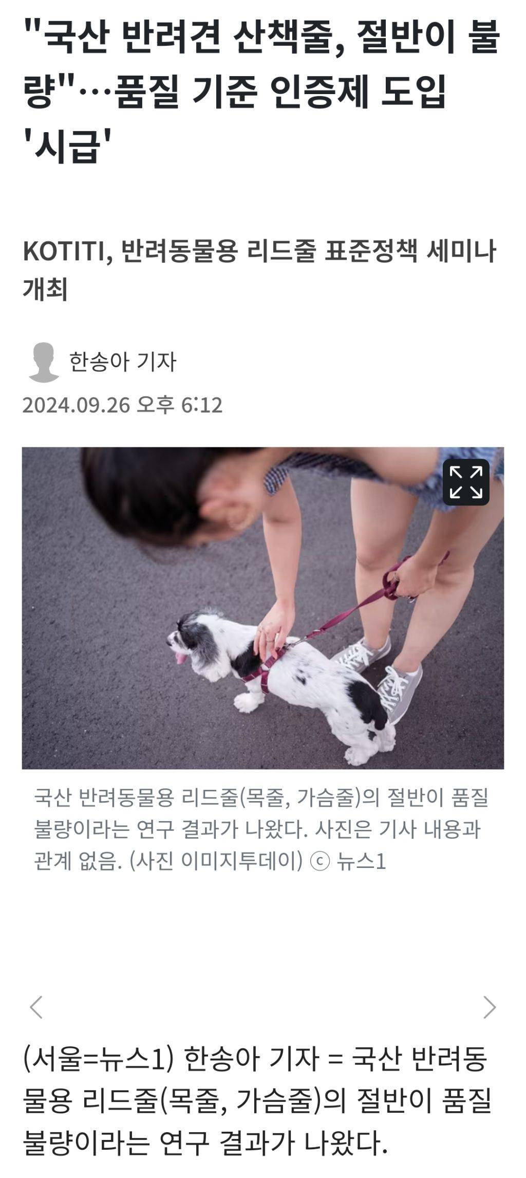 펫페어에서 목줄을 샀는데.. 오늘 산책하다가 끊어져버렸다.. | 인스티즈