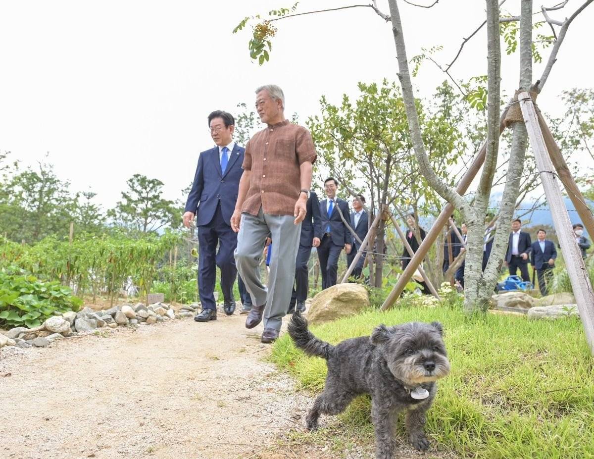 정청래 피셜 싹싹하고 대중친화적인 문토리 | 인스티즈