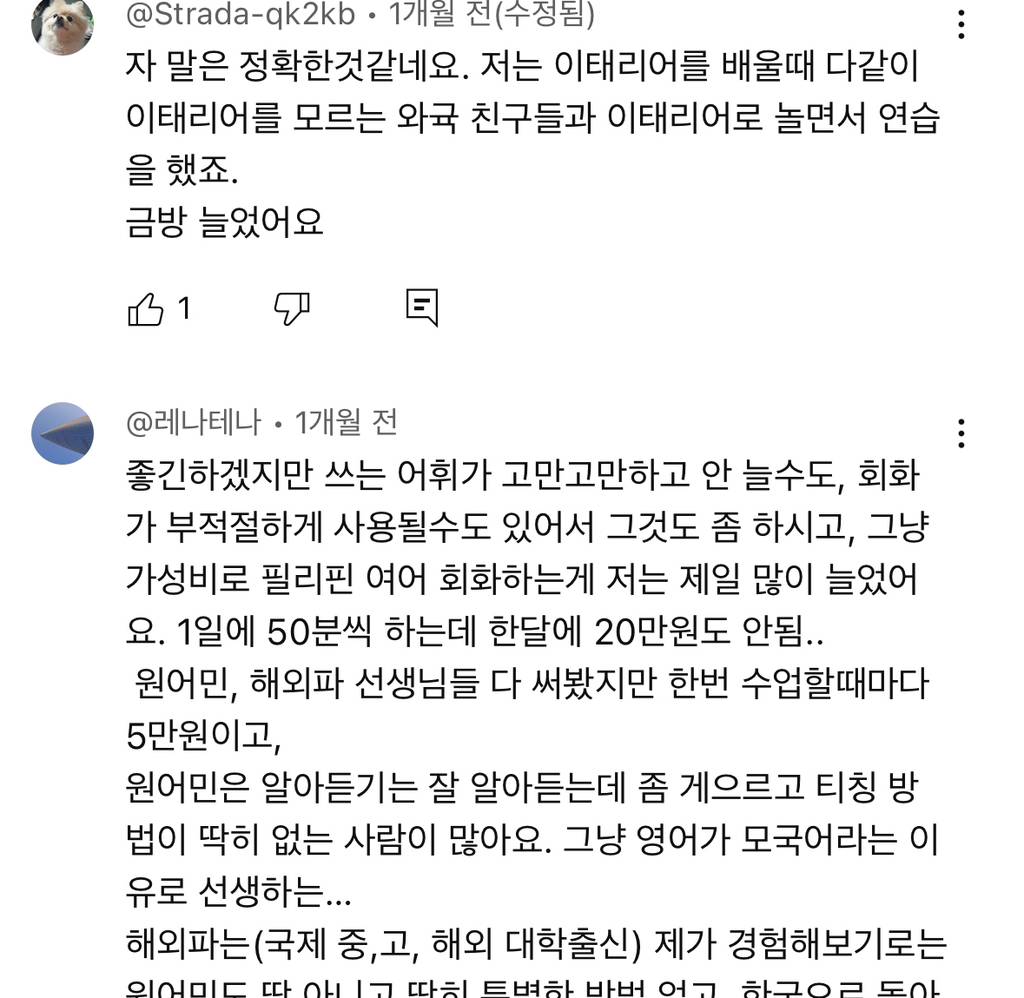 영어회화 단기간에 급격히 늘 수 있는 꿀팁 | 인스티즈