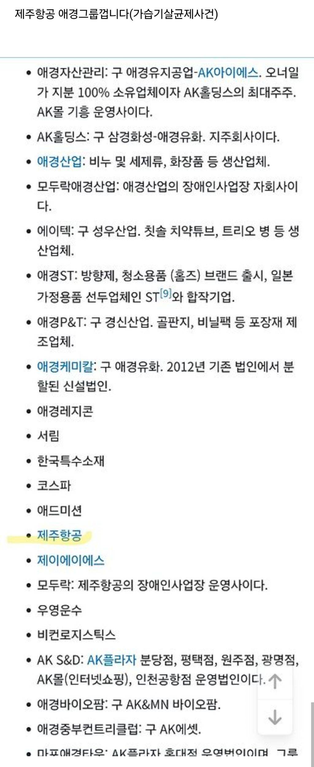 애경의 '소년가장' 제주항공, 항공기 운항 무리하는 건 아닌지 (24년9월기사,가습기살균제사건 애경그룹=제주항공) | 인스티즈