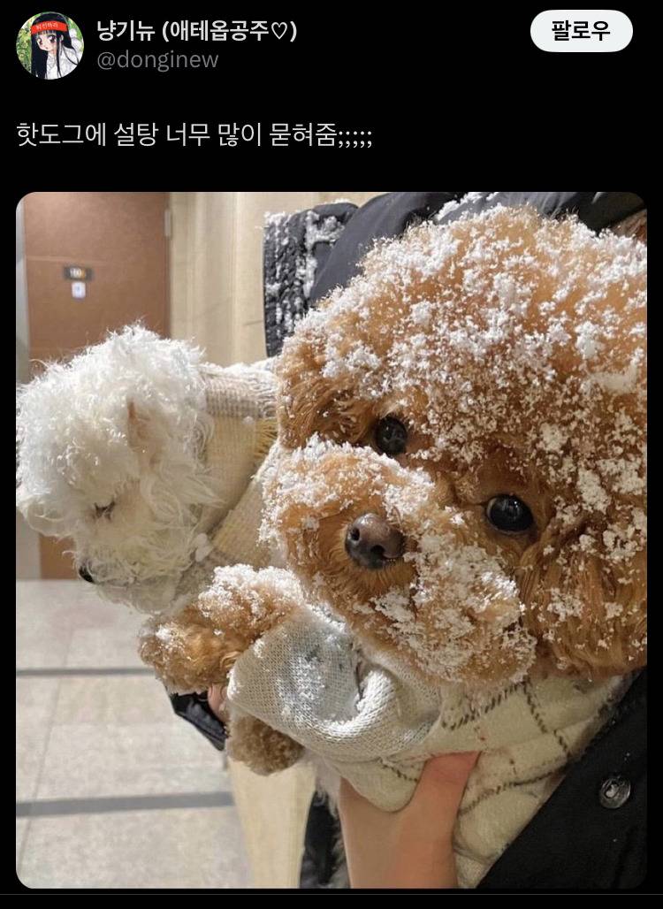 핫도그에 설탕 너무 많이 묻혀줌 | 인스티즈
