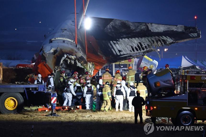 [제주항공 참사] 무안 등 대부분 공항이 새 서식지…조류충돌 대책 절실 | 인스티즈