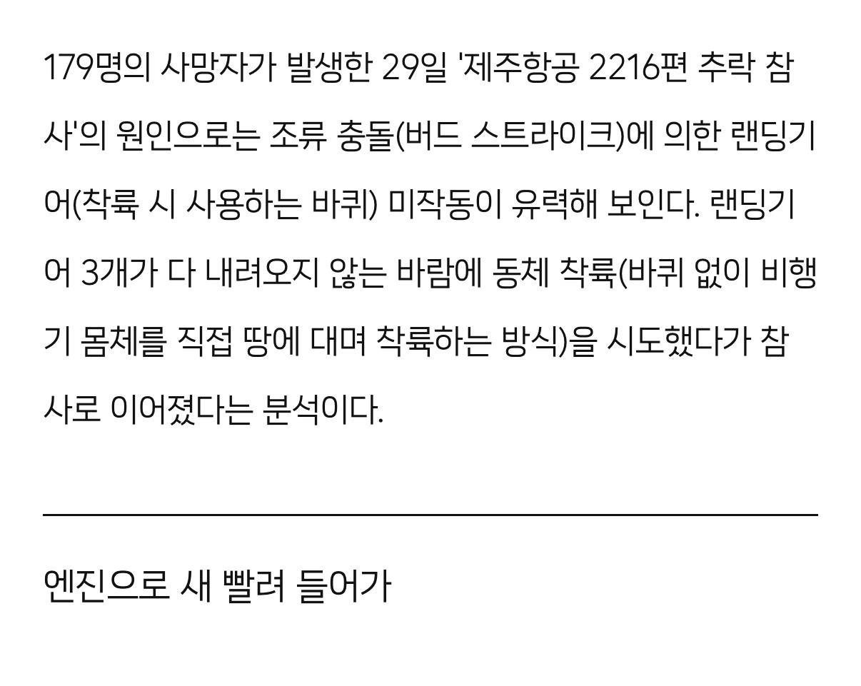 '제주항공' 피해 왜 컸나… ①조류 충돌 ②대비할 새도 없이 동체 착륙 | 인스티즈