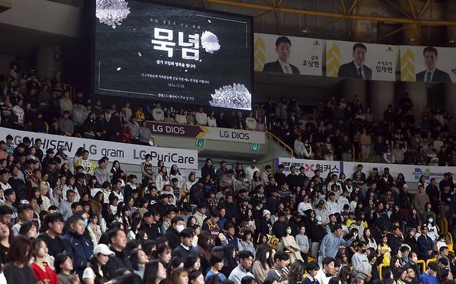 시민들 "무서워서 어떻게 타나”…연말·연초 LCC 항공권 취소 쇄도 | 인스티즈