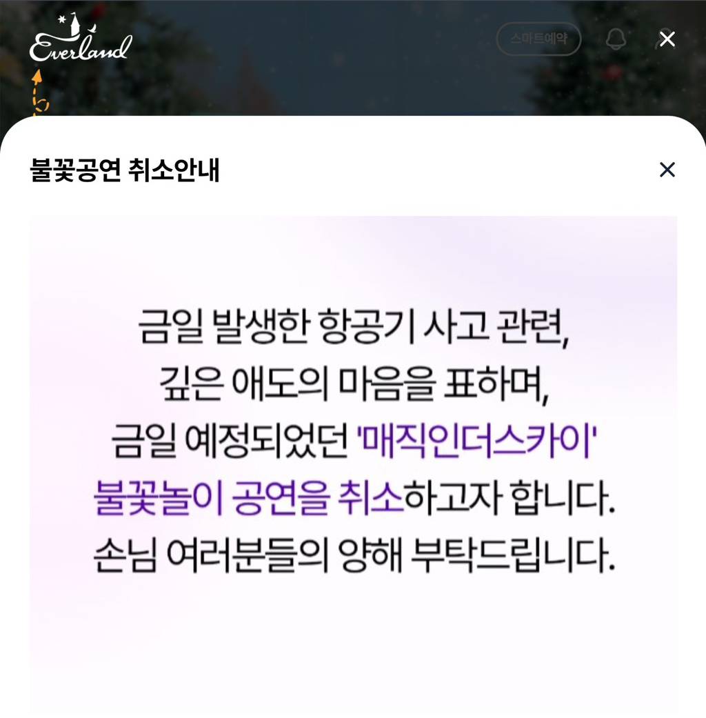 오늘(12월 29일) 여의도에서 불꽃놀이 행사 계획대로 강행한 서울시 | 인스티즈