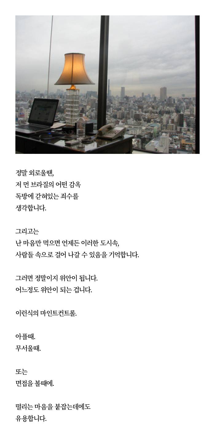 웃기지만 우습지 않은 이유를 알 것 같은 홍진경의 글모음 | 인스티즈