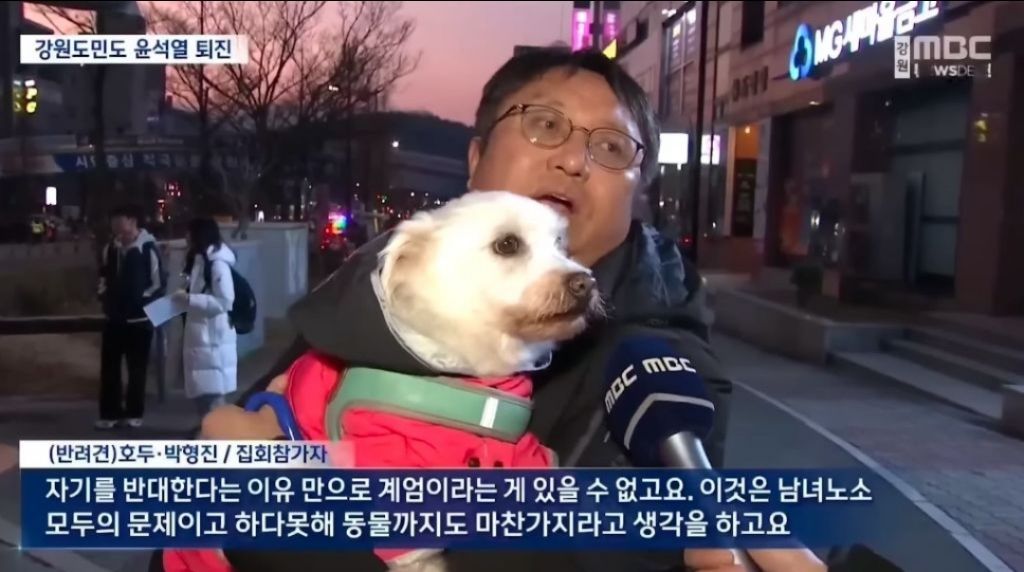 인터뷰하는 시민 반려견 이름도 적어주는 강원도 엠비씨 | 인스티즈