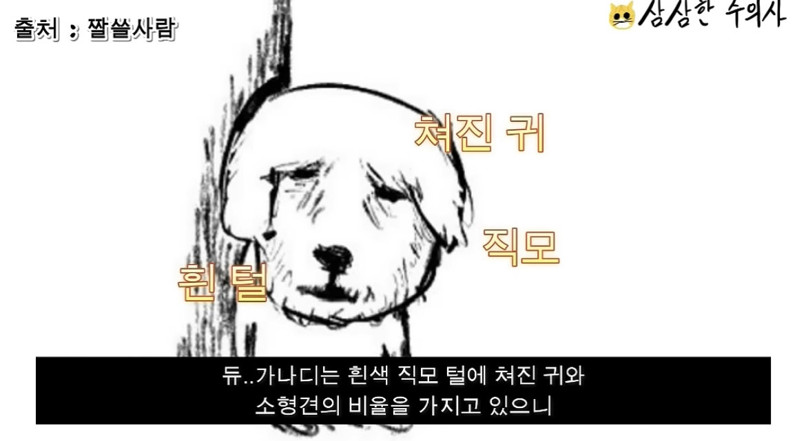 수의사가 본 듀...가나디 정체.jpg | 인스티즈