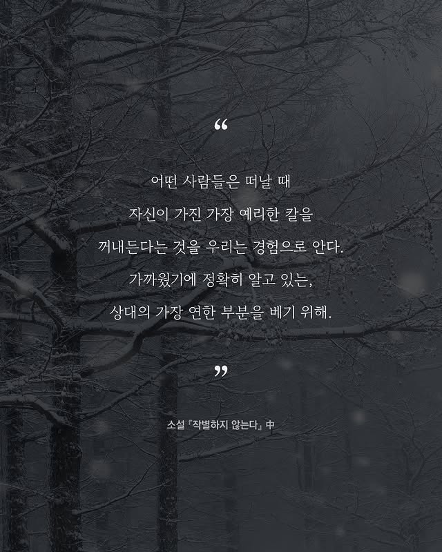 소설가 한강의 따뜻하고도 서늘한 문장들.jpg | 인스티즈