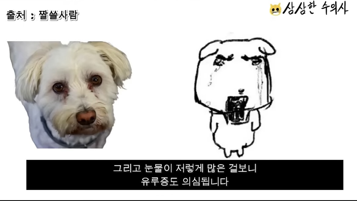 수의사가 본 듀...가나디 정체.jpg | 인스티즈