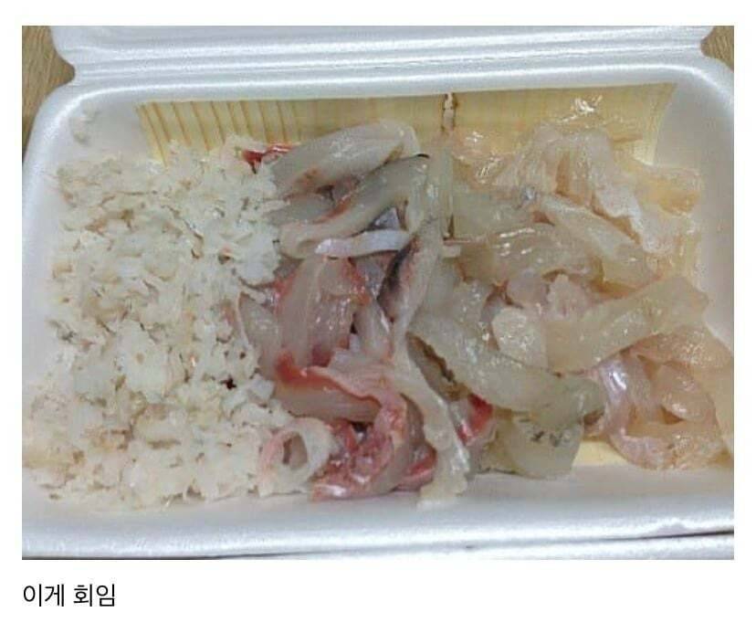 부산에서 회라는건 서울이랑 다른거임.jpg | 인스티즈