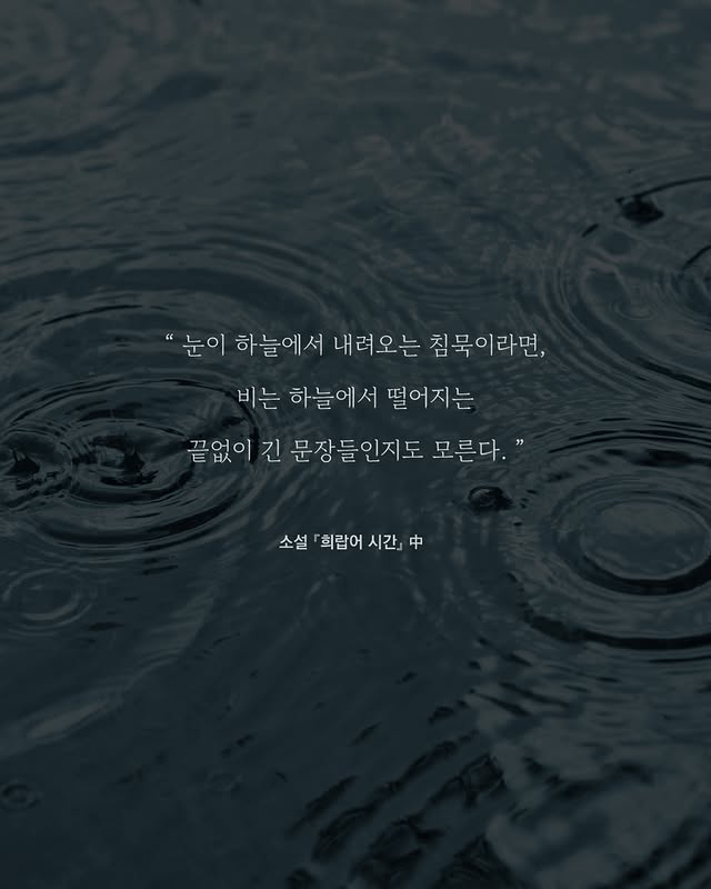 소설가 한강의 따뜻하고도 서늘한 문장들.jpg | 인스티즈