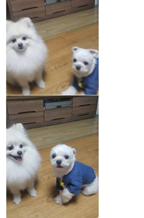 인류애 충전하고 가세요 | 인스티즈