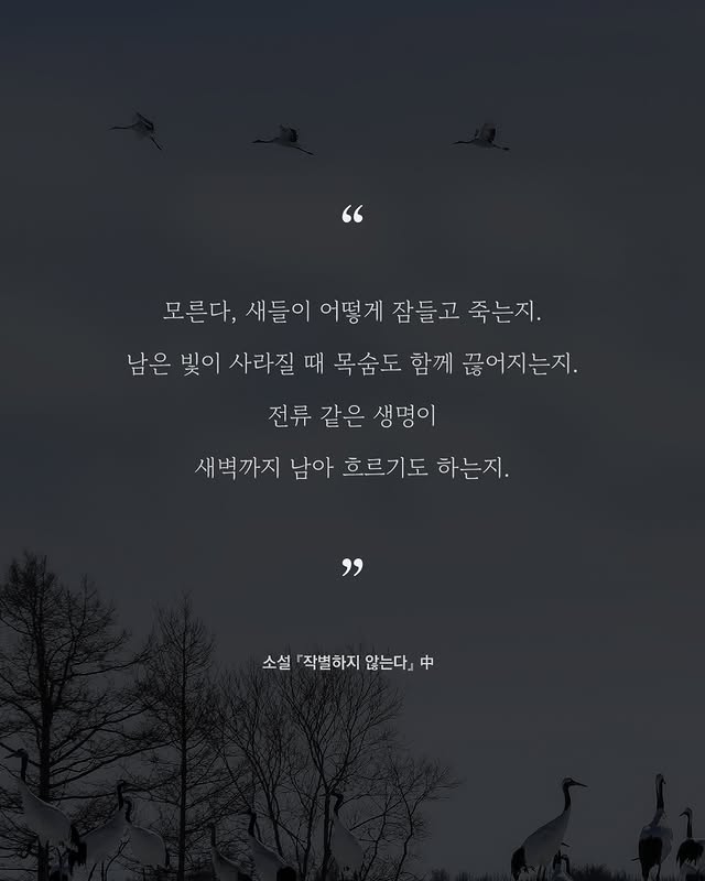 소설가 한강의 따뜻하고도 서늘한 문장들.jpg | 인스티즈