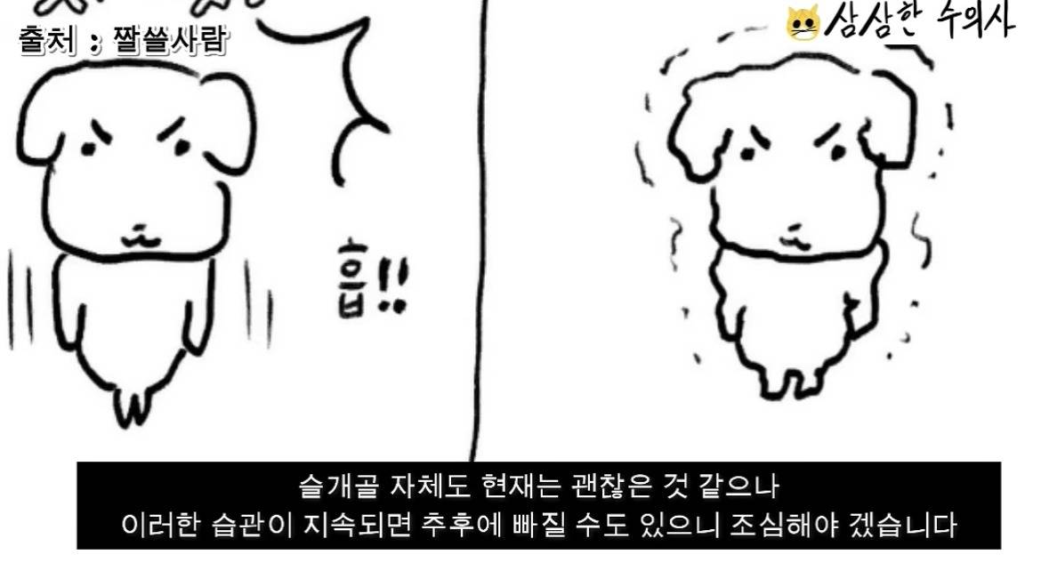 수의사가 본 듀...가나디 정체.jpg | 인스티즈