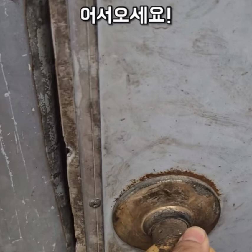 부산에 있다는 개 백화점 | 인스티즈