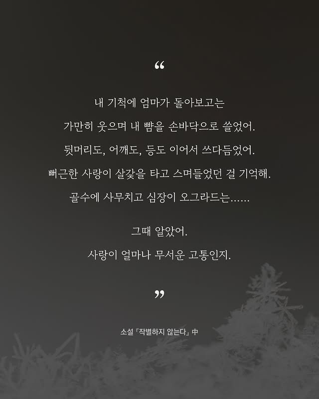 소설가 한강의 따뜻하고도 서늘한 문장들.jpg | 인스티즈