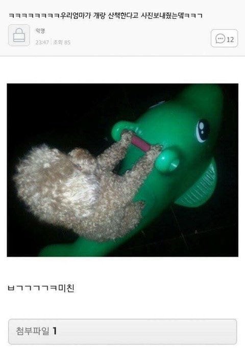아 정말 웃기네 슬라임 만지다가 화장실 갔다왔더니 | 인스티즈