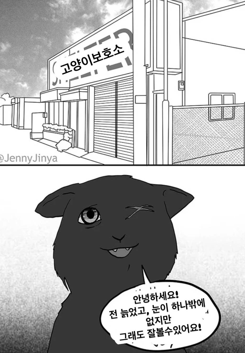 그러니까 도로위를 걸어다니면 안된다고 말했잖아.jpg | 인스티즈