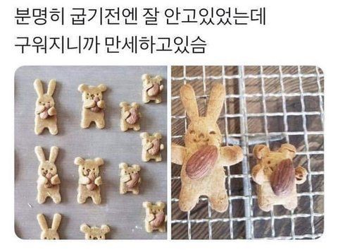 곰 세 마리가 한집에 있어.... | 인스티즈