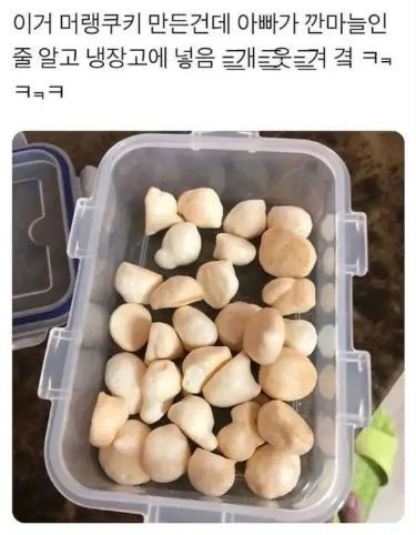 곰 세 마리가 한집에 있어.... | 인스티즈