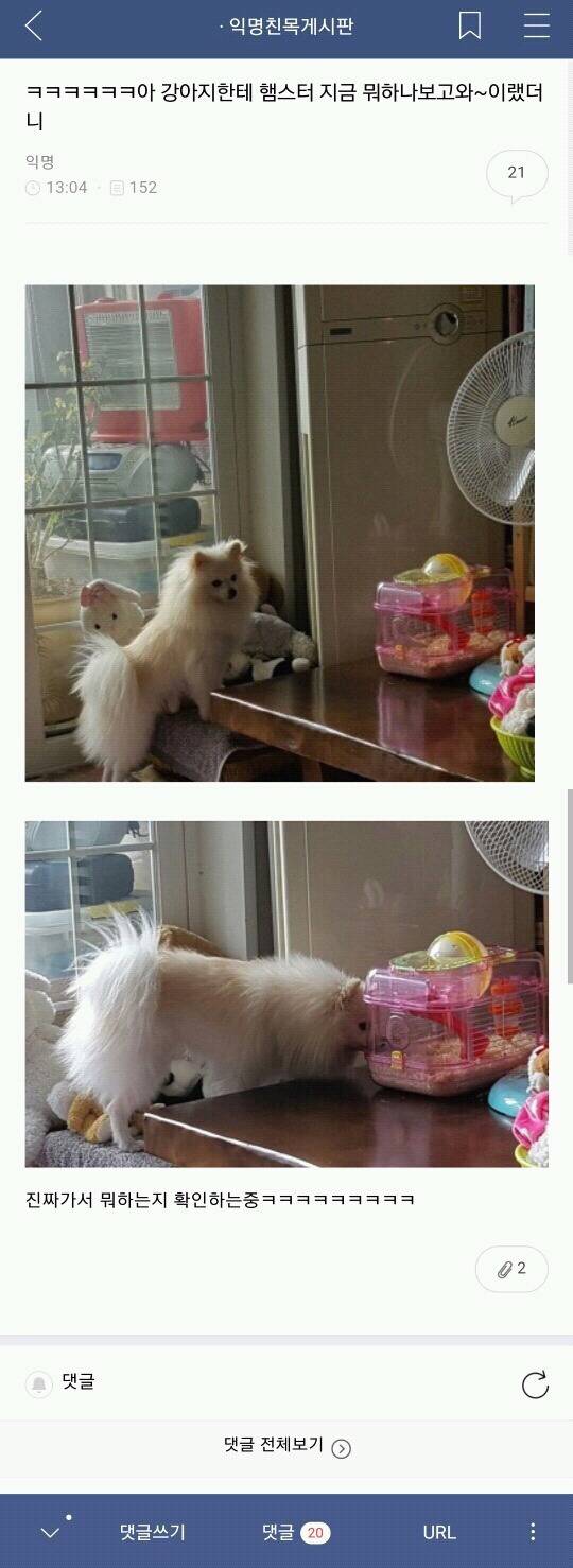 [익웃] ooo땅에도 봄은 온다? 이거 뭐더라 제발ㅜㅜ | 인스티즈