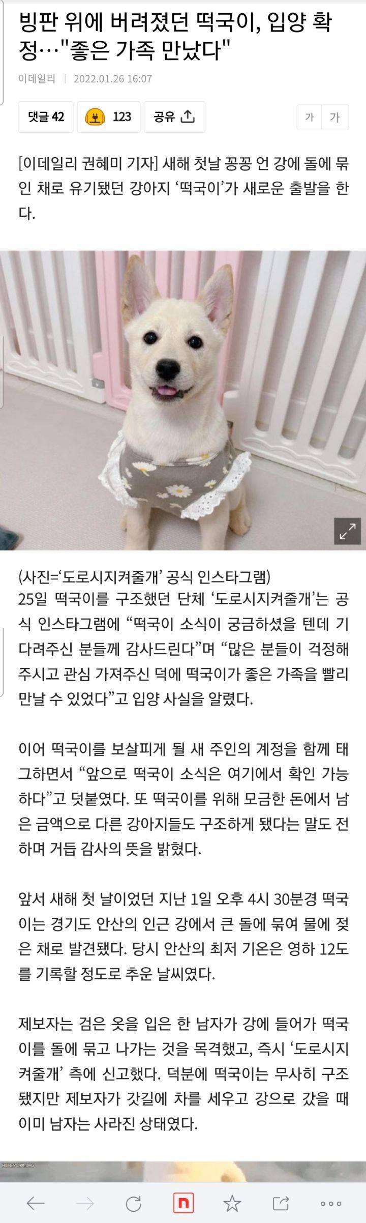 빙판 위에 버려졌던 떡국이, 입양 확정…"좋은 가족 만났다" | 인스티즈
