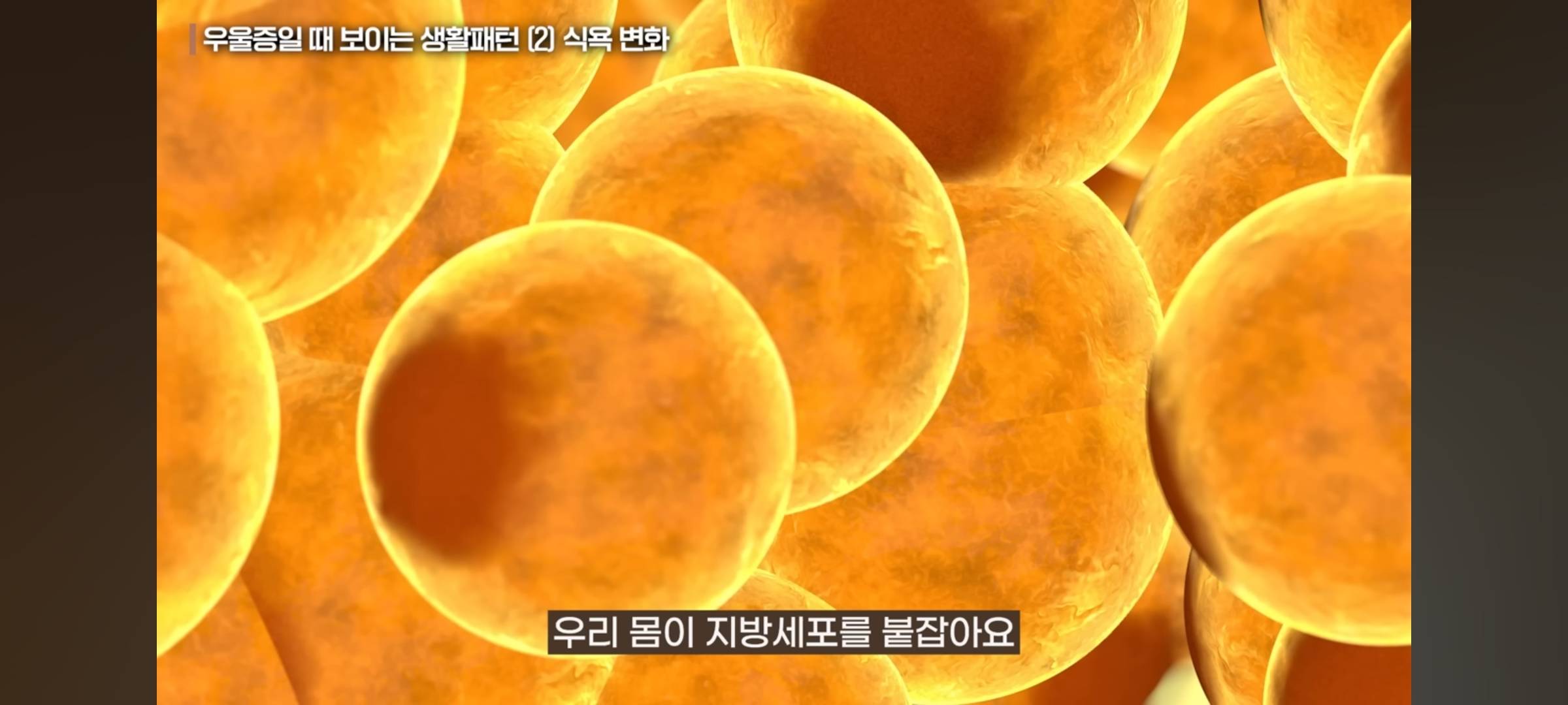 실시간 충격인 우울증 의외의 증상 | 인스티즈
