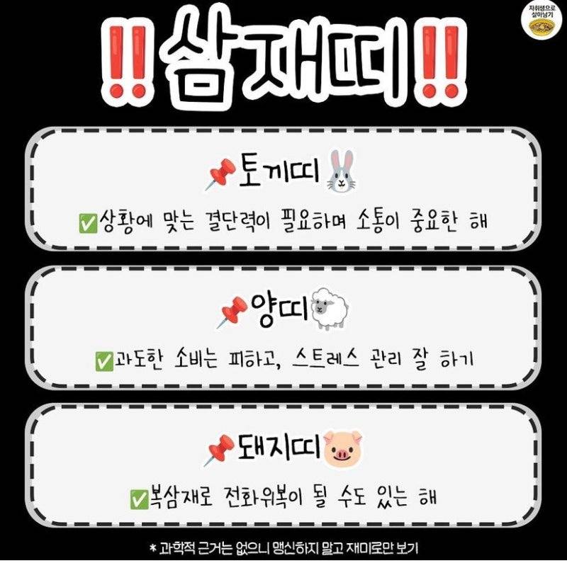 재미로 보는 2025년 금전운•직업운•애정운•문서운•이동운•건강주의•삼재띠 BEST 3 | 인스티즈