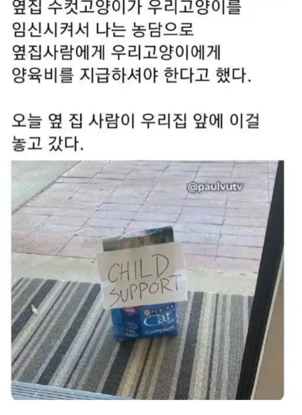 옆집 사람에게 양육비 요구하게 된 사연 | 인스티즈