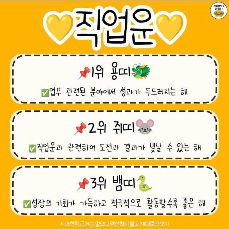 재미로 보는 2025년 금전운•직업운•애정운•문서운•이동운•건강주의•삼재띠 BEST 3 | 인스티즈